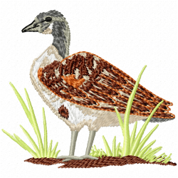 Ducks And Goose Embroidery Design 2 Ducks And Goose Embroidery Design 2